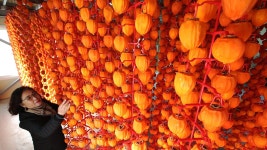 [포토타임] 파주시 공릉천변서 수색작업 벌이는 경찰