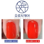 오로시케어(OROSI CARE), ‘2022 올해의 우수브랜드 대상’ 네일아트교육 부문 1위 수상