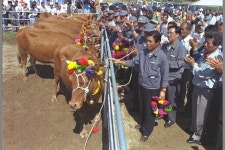 美타임지도 찬사 정주영 공법…서산 간척지, 그의 기념관 선다