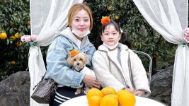 혼자옵서개 펫팸족을 잡아라…개편한 200곳 모인 관광지는