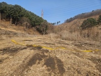 쓰레기방 살다 야산에 버려졌다…돼지농장 60대 태국인의 비극