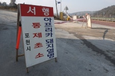 [Biz & Now] 포천 양돈농가서 ASF…경기·인천 등 이동중지명령