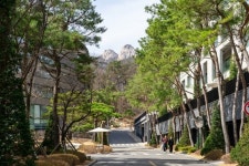 우이동이 젊어졌다…백숙 먹던 엠티촌, 카페거리 변신