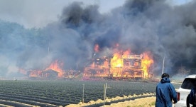 또 4월 악몽 덮쳤다…강릉 산불 초속 30m 태풍급 바람 정체