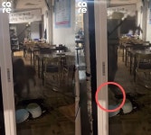 반려견 바닥에 패대기 친 식당 주인 손님 준 술에 이성 잃었다