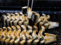 도깨비 청보리밭 드나든 이유?…장어에 복분자, 오감만족 이 곳