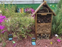 곤충호텔에 토마토 텃밭까지 들어섰어요…달라지는 어린이집