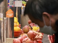 사과 40% 날릴판…이상고온 뒤 냉해까지, 과수원 울고싶다