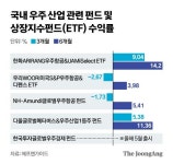 누리호 성공에도 관련주 떨어졌다, 한국판 스페이스X 투자법