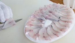 1인당 2마리만 팔아요…초여름 별미 마름모꼴 생선 금값 됐다