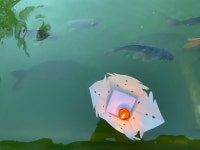 유네스코 홀렸다, 다낭 옆 작은 도시…일본식 다리 들어선 사연