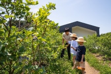 블루베리 따고 피자 만들고…상주가 재미있어졌다