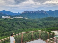 신기한 이 솔방울은 뭐지? 미리 가본 세계 첫 강원산림엑스포