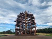 신기한 이 솔방울은 뭐지? 미리 가본 세계 첫 강원산림엑스포