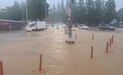 [LIVE] 오전 10시 부산ㆍ대구ㆍ대전ㆍ울산ㆍ세종, 태풍경보