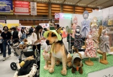 반려동물 보험 개발, 행동지도사 도입…펫산업 15조로 키운다