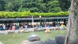 이재명표 다 버린 김동연, 계곡 닭백숙은 계속 잡는 까닭