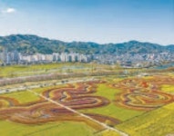 [남도의 멋과 맛] 순천 도심도 정원으로, 10년 전보다 더 커지고 콘텐트 풍성…맨발로 어싱길 걷고, 정원에서 보내는 하룻밤까지