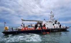 한국어 소통 가능한 밀입국 중국인들, 끼니 때마다 밥 달라