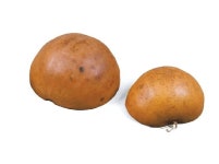 백석 육필 원고, 박완서의 해산 바가지…문인들 일상 만난다