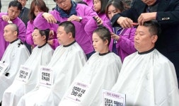 머리는 자란다 단지 쇼?…전북도의원 39명 중 23명 까까머리 [이슈추적]