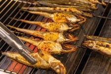 알 품은 도루묵 화물차 끌고와 싹쓸이…어민들 한숨, 무슨일