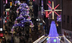 [포토타임] 형형색색으로 물든 부산의 밤... 2023 광복로 겨울빛 트리축제 개막