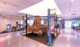 [issue&] 복합문화공간 ‘B the B’ 통해 공공 마케팅 지원의 패러다임 전환