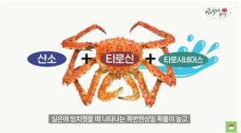 노량진 대게, 썩은 것 아니다…전문가가 밝힌 검은 점 정체
