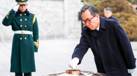 판다(PANDA)드럭스토어 | [포토타임] '무럭무럭 잘 자라고 있어요'... 에버랜드 쌍둥이 판다 사진 공개
