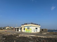 [GO로케] 돌고래와 추억 쌓는 삼달리, 충청 커플도 반한 공지천