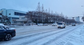하늘‧바닷길 끊어졌다...폭설‧강풍에 꽁꽁언 호남‧제주
