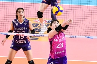 레이나 활약-윌로우 가세… 흥국생명, 도로공사 꺾고 5라운드 상큼한 출발
