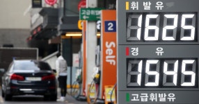 [포토타임] 활짝 핀 복수초...역대 가장 따뜻한 서울의 입춘