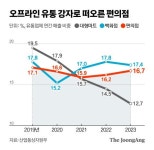 영천 마늘, 홋카이도 푸딩까지…특산물 모신 편의점의 질주