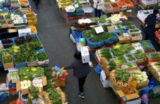 과일뿐 아니라 채소 값도 천정부지…파 50%·시금치 34%↑