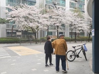 시각장애인, 80대 노인, 일용직노동자도…투표장 찾은 시민들