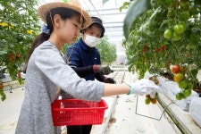 [소년중앙] “사회에 필요한 사람이 되고 싶어요” 일하고 싶은 장애인들에게 필요한 것은
