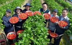 모시러 왔다 통역사 부르고 환영식도…농촌에 온 귀한 손님 [외노자, 공존의 시대]