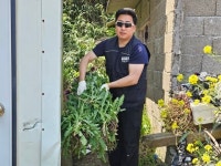 씨가 날려서 돋아나드랑께요 양귀비 걸린 섬마을 노부부 울상