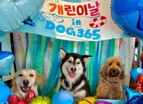 어린이날, 강아지와 고양이도 즐겁다… 수제간식 판매 급증