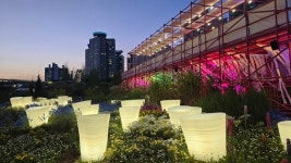 스트레스 60% 줄여주는 이것…뚝섬한강공원이 정원으로 재탄생