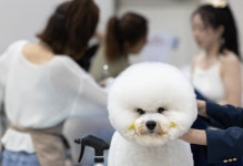 [포토타임] 춤으로 하나 되는 우리, 2024 용골 댄스 페스타