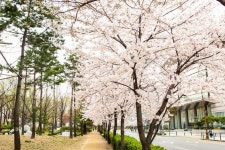 구로구, 공원 지하주차장 내일 강행…주민들 결국 거리 나선다