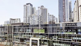 2000억 땅 재앙 됐다…강남 컨테이너 노인 유족에 생긴 일