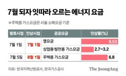 주택 도시가스 소매요금 6.8%↑…하반기 잇단 공공요금 인상