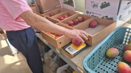 미쳤다카데예 60년 농부의 환승…연매출 1억 대박 났다 [르포]