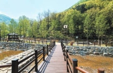 [대구의 핫한 여름밤] 시원한 산바람·강바람에 바비큐 구우며…도심 속에서 자연을 즐긴다