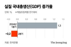 2분기 GDP 역성장…올해 2.5% 성장 