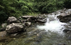 절경 보면서 시원한 물놀이…출입 금지된 계곡 59곳 열렸다